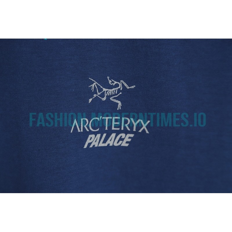 Arc Teryx - Palace Co-branded Short-sleeved T-shirt With Reflective Print