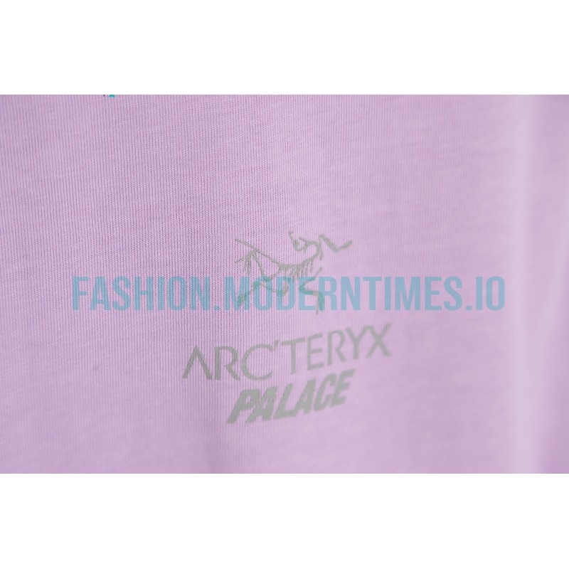 Arc Teryx - Palace Co-branded Short-sleeved T-shirt With Reflective Print
