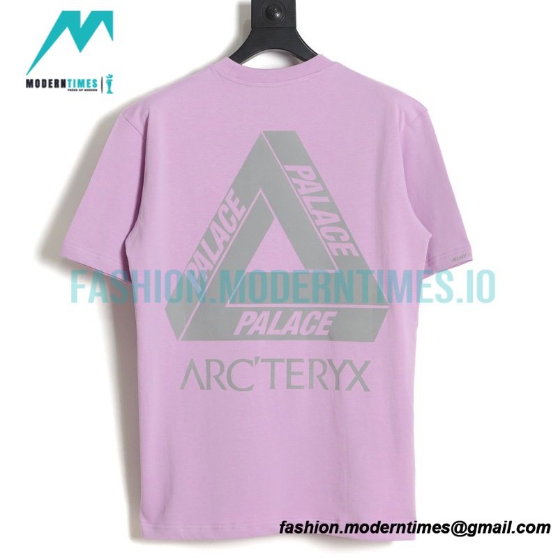 Arc Teryx - Palace Co-branded Short-sleeved T-shirt With Reflective Print