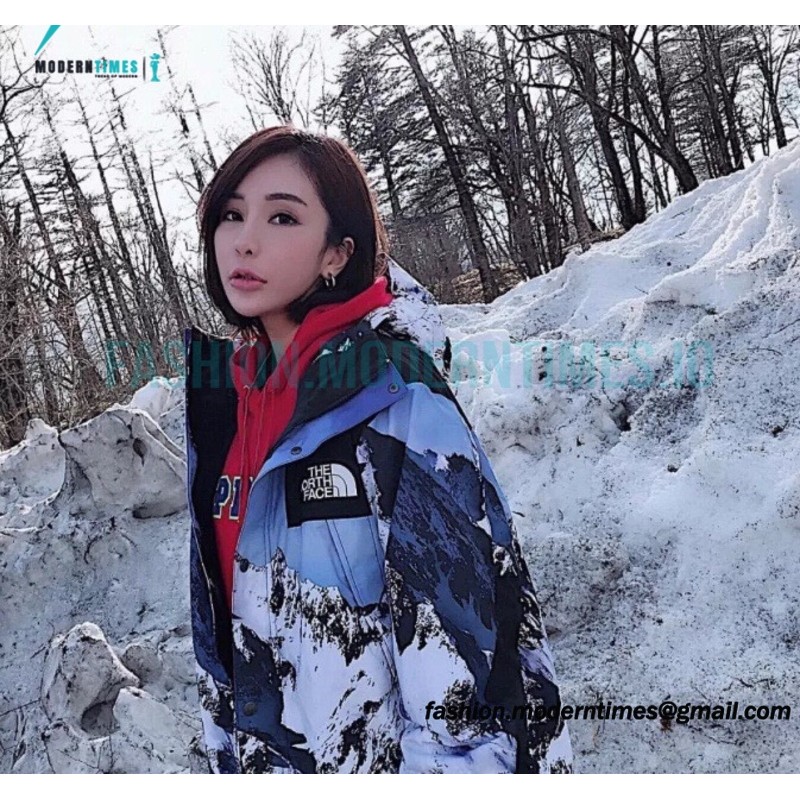 Supreme - The North Face Snowstorm Jacket