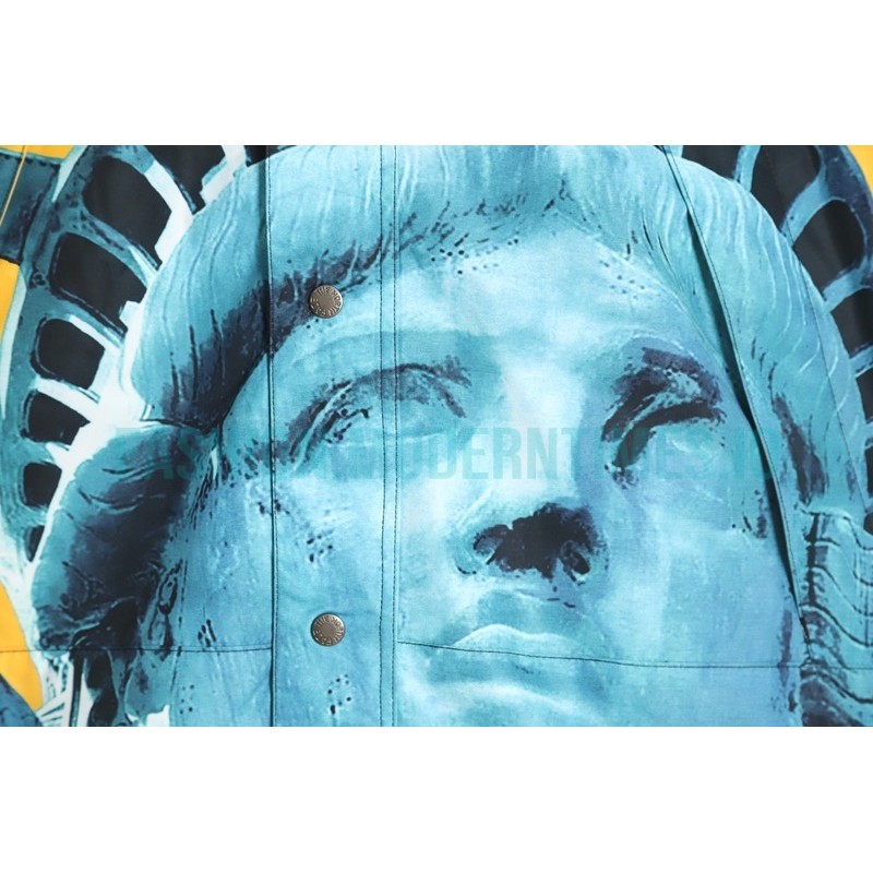 Supreme - The North Co-branded Face Lady Liberty Jacket